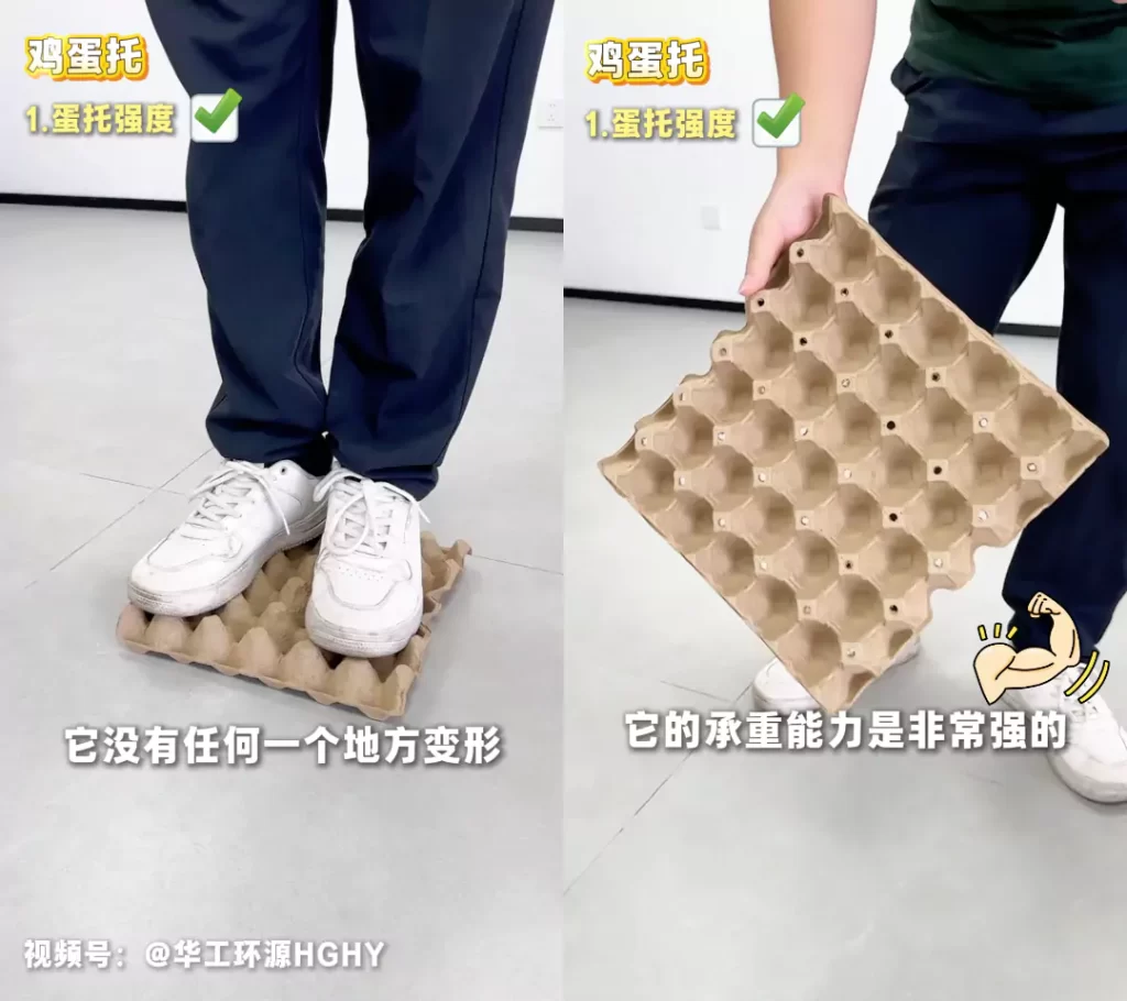 工艺赋能品质:九游官方网站-九游online(中国)
鸡蛋托的场景化革新插图2 工艺赋能品质:九游官方网站-九游online(中国)
鸡蛋托的场景化革新插图2