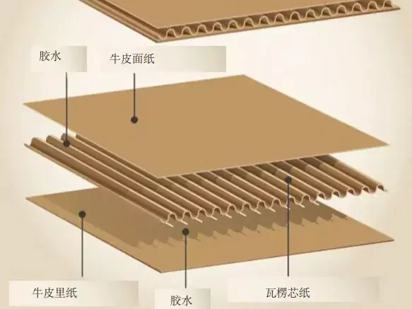 3分钟读懂九游官方网站-九游online(中国)
!与瓦楞纸箱的优劣对决插图3 3分钟读懂九游官方网站-九游online(中国)
!与瓦楞纸箱的优劣对决插图3
