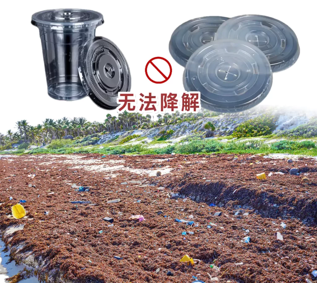 杯盖选对不踩坑!九游官方网站-九游online(中国)
VS塑料,环保与实用双赢才是王道插图 杯盖选对不踩坑!九游官方网站-九游online(中国)
VS塑料,环保与实用双赢才是王道插图