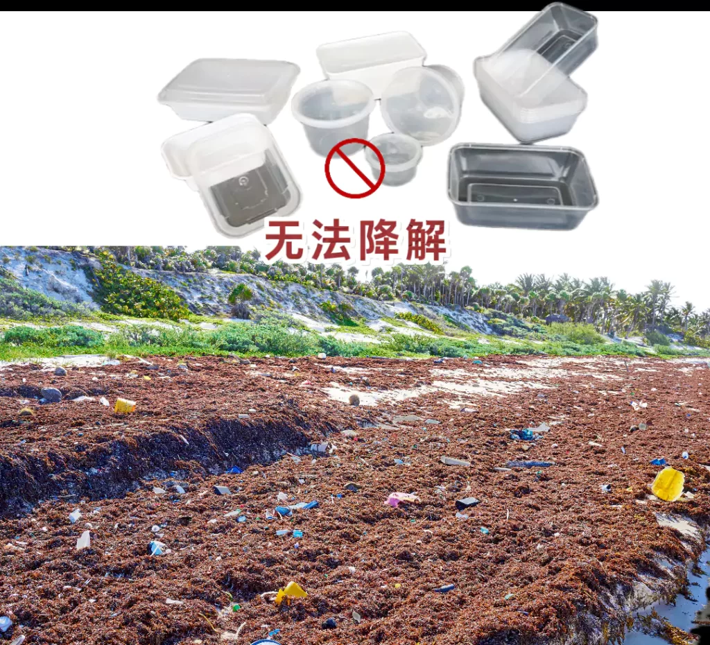 餐饮餐具怎么选?九游官方网站-九游online(中国)
VS塑料餐具,颜值环保实用全对比插图1 餐饮餐具怎么选?九游官方网站-九游online(中国)
VS塑料餐具,颜值环保实用全对比插图1